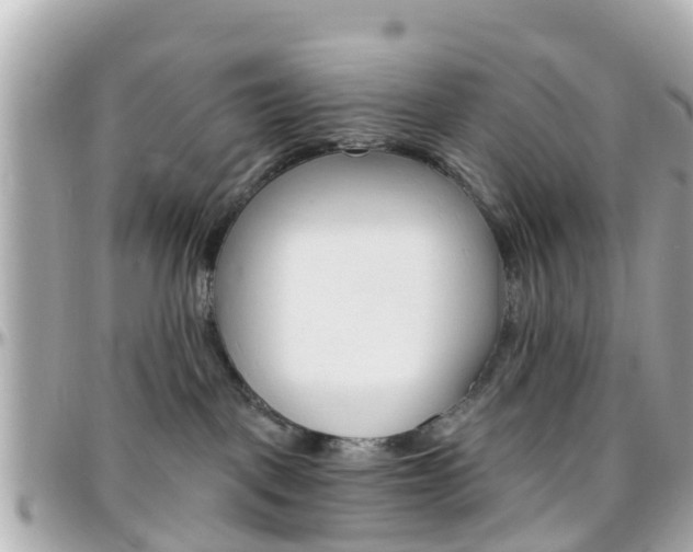 X0000096450093200801241150