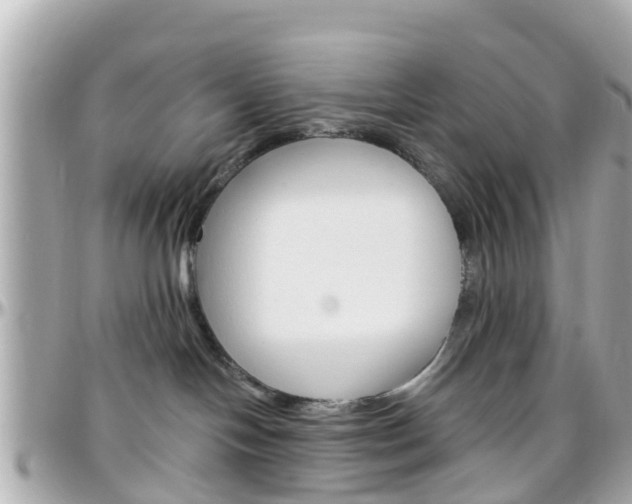 X0000096450094200801241150