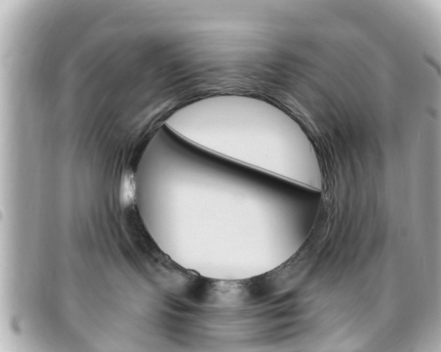 X0000096450095200801241150