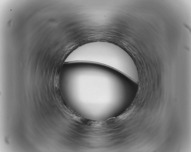 X0000096450096200801241150