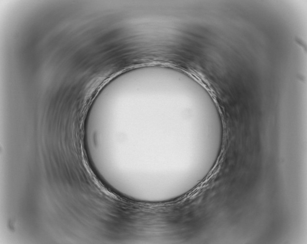 X0000096450097200801241149