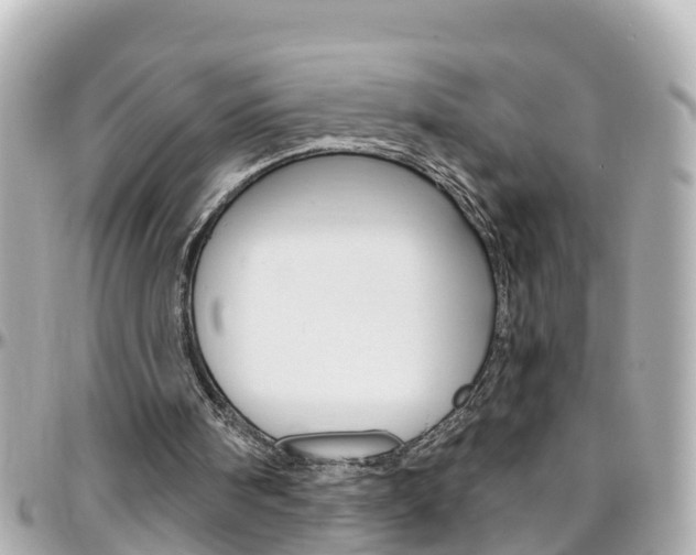 X0000096450098200801241149