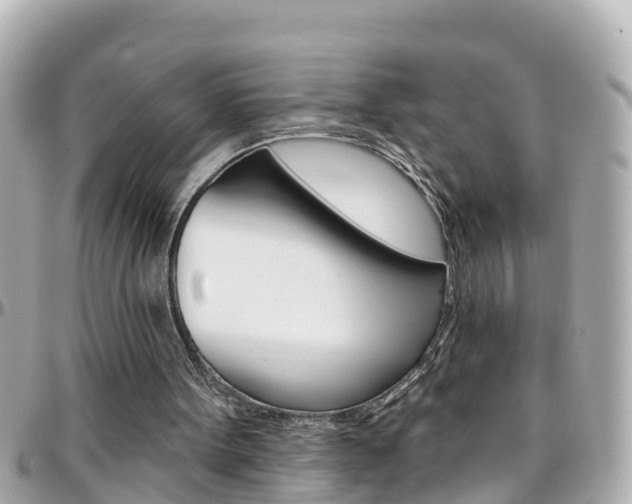 X0000096450099200801241149