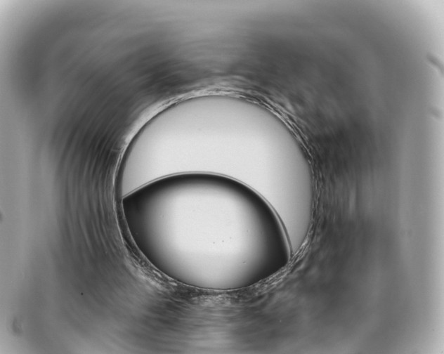 X0000096450100200801241149