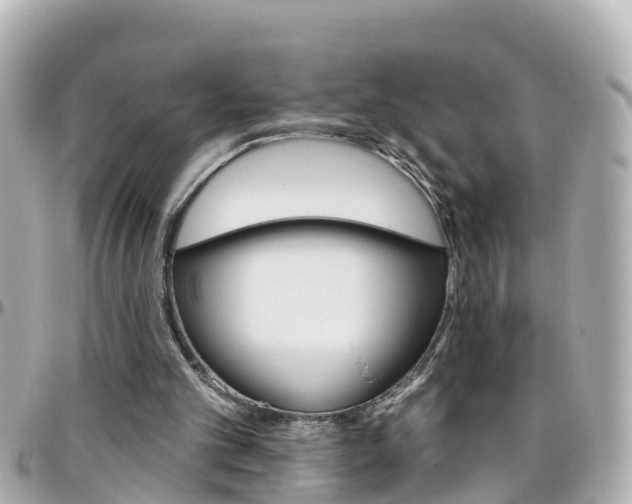 X0000096450101200801241149