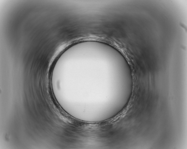 X0000096450102200801241149