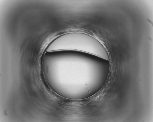 X0000096450103200801241149