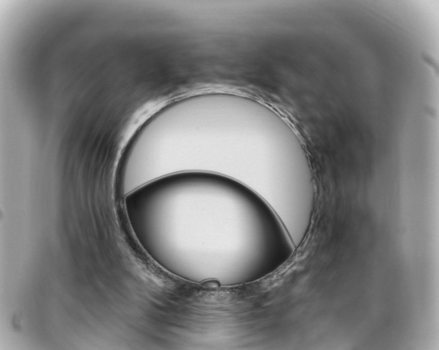 X0000096450104200801241149