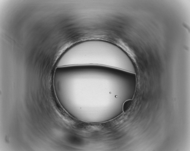 X0000096450107200801241149