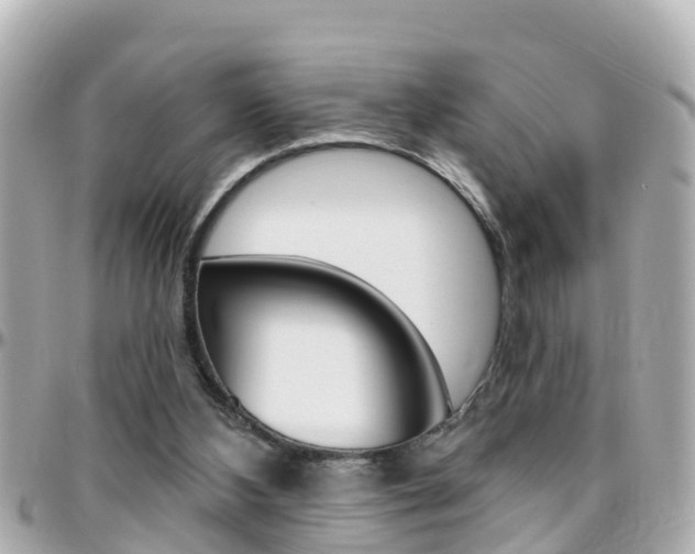 X0000096450108200801241149