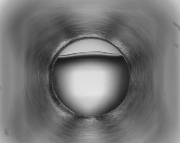 X0000096450112200801241149