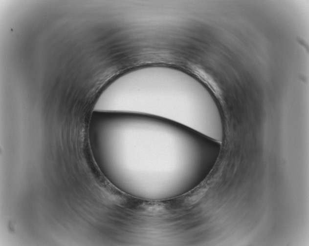 X0000096450113200801241149