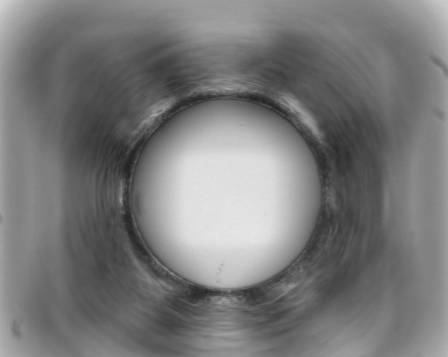 X0000096450115200801241149