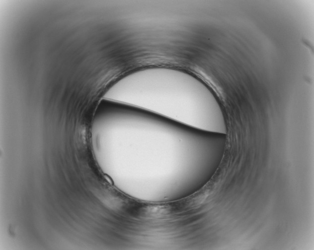 X0000096450117200801241149