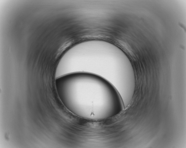 X0000096450120200801241149