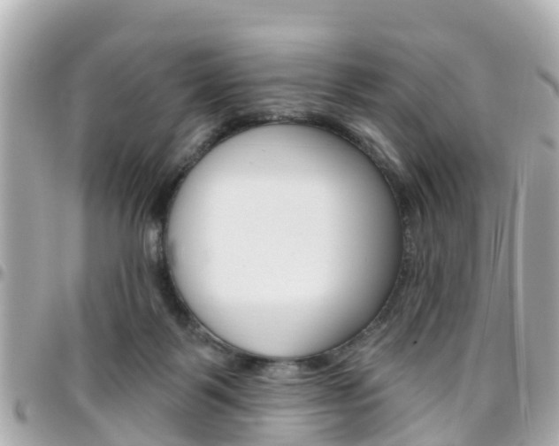 X0000096450123200801241149