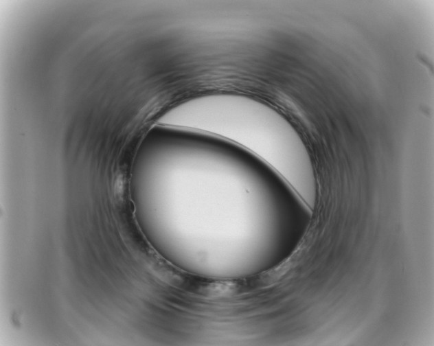 X0000096450124200801241149