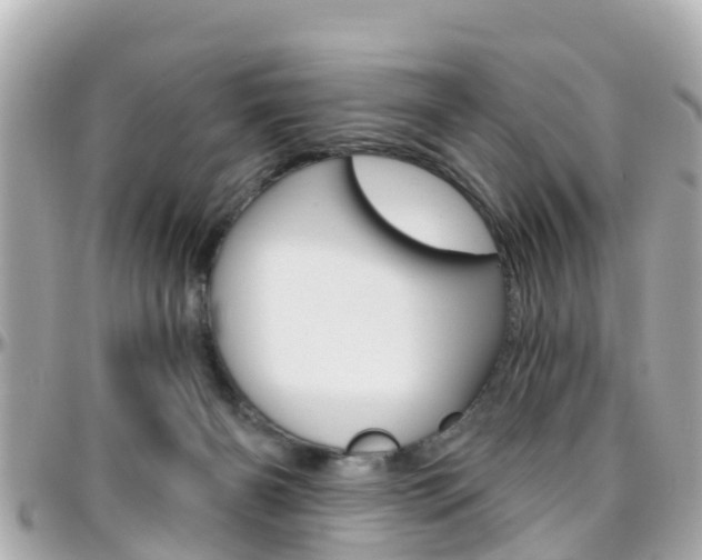 X0000096450126200801241148