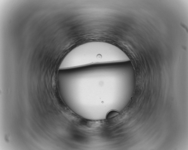 X0000096450131200801241148