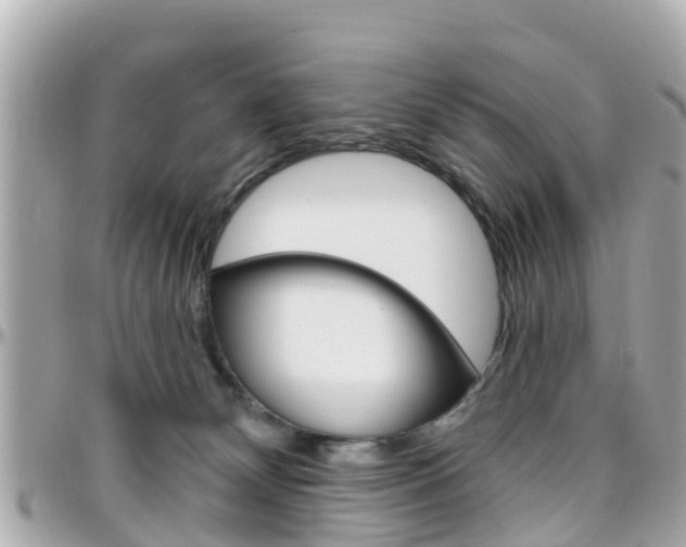 X0000096450132200801241148