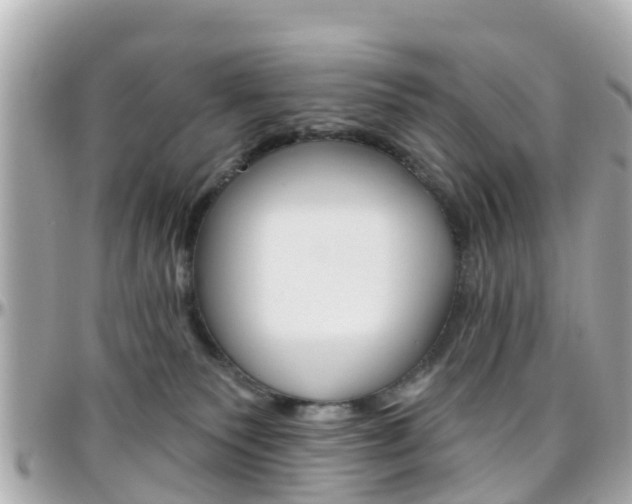 X0000096450135200801241148
