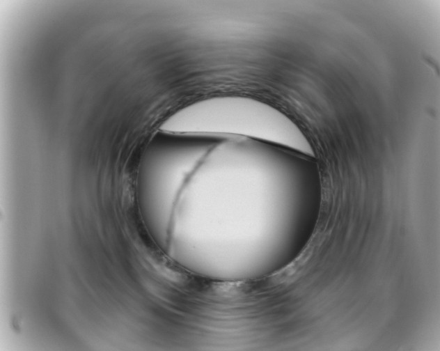 X0000096450136200801241148