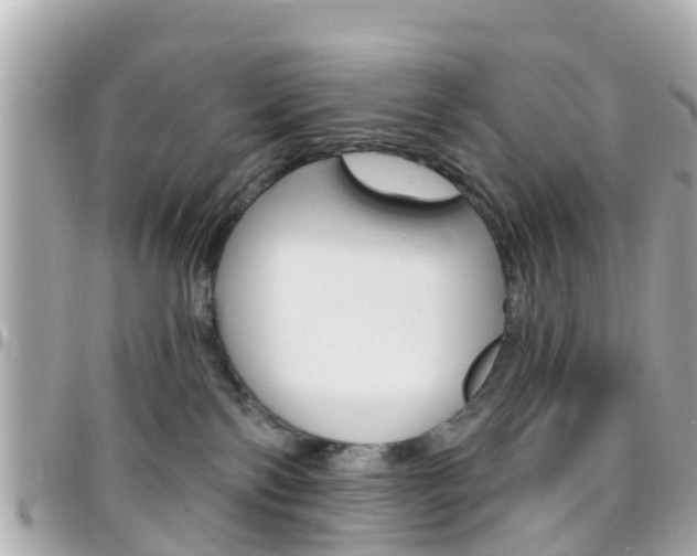 X0000096450138200801241148