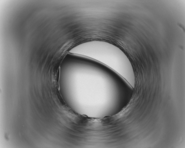 X0000096450140200801241148