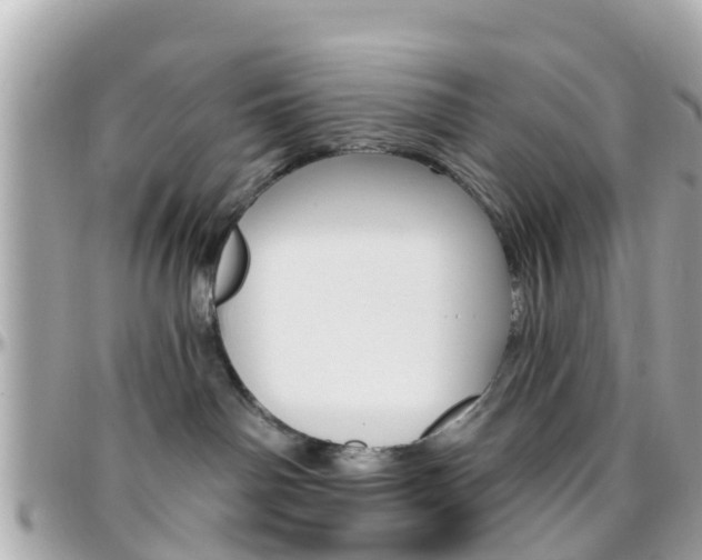X0000096450142200801241148