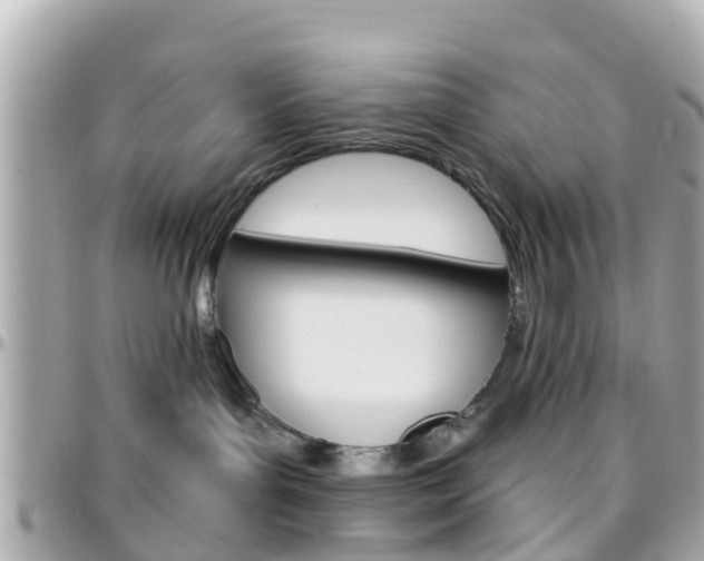 X0000096450143200801241148