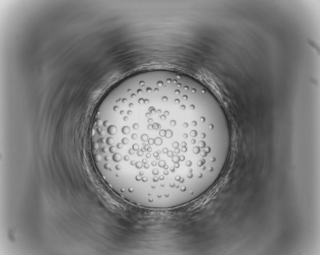 X0000096450145200801241147