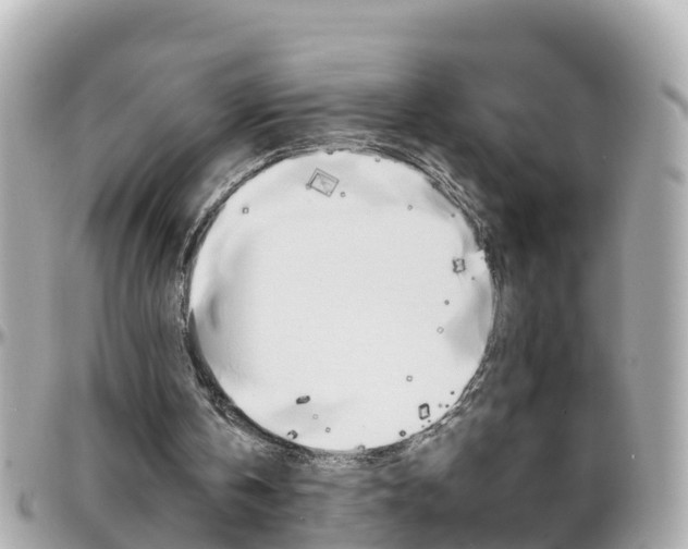 X0000096450146200801241147