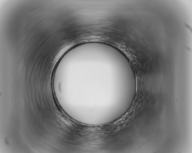 X0000096450147200801241148