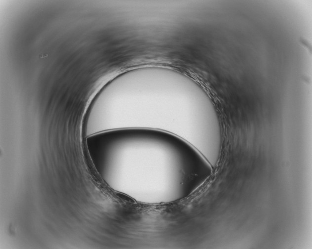 X0000096450148200801241148