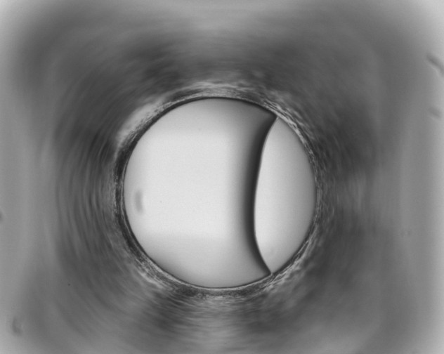 X0000096450149200801241148