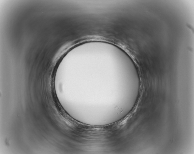 X0000096450151200801241148