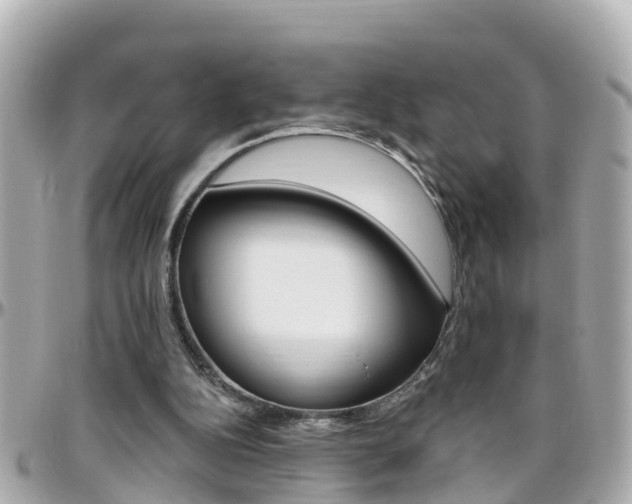 X0000096450152200801241148