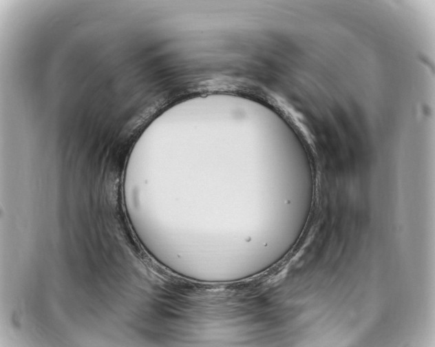 X0000096450153200801241148