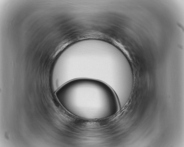X0000096450154200801241148