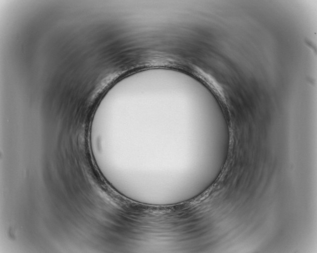 X0000096450155200801241148
