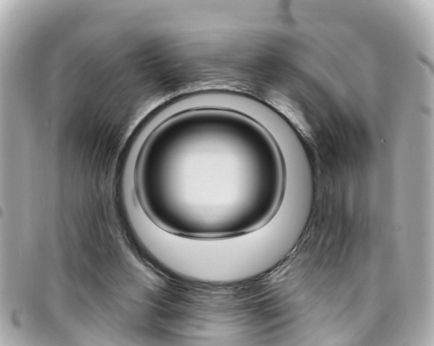 X0000096450156200801241148