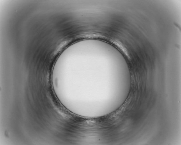X0000096450159200801241148