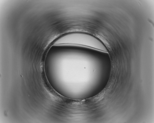 X0000096450160200801241148