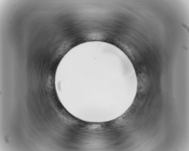 X0000096450162200801241148