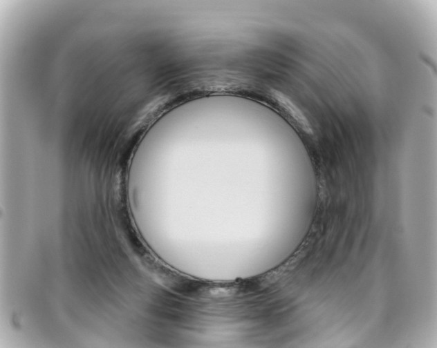 X0000096450163200801241148
