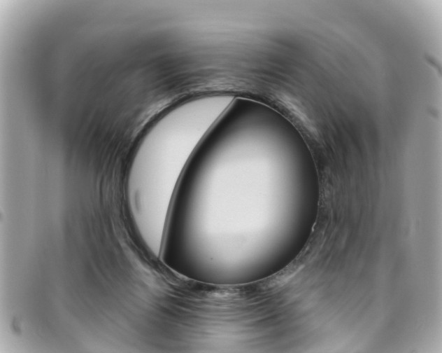 X0000096450164200801241148