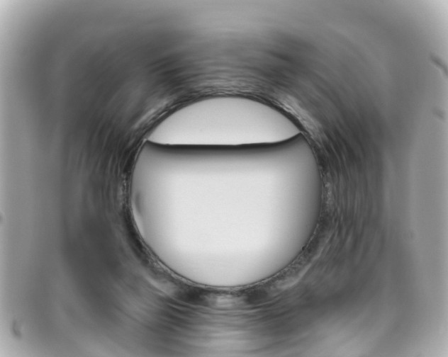 X0000096450165200801241148