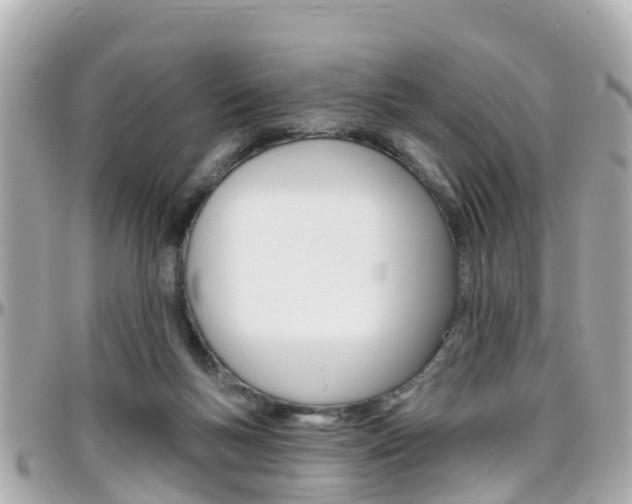 X0000096450167200801241148