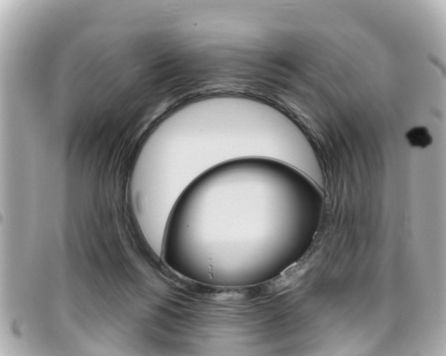 X0000096450168200801241148