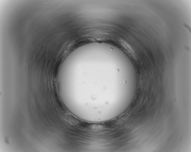 X0000096450169200801241148